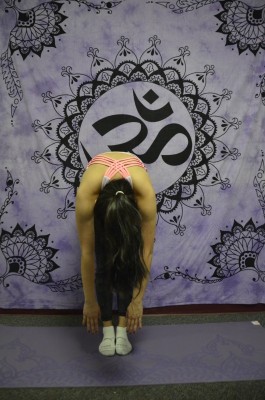 The Forward Fold Pose (pictured above) is one of many yoga poses that can be beneficial for students. (Photo Illustration by Andronika Zimmerman/ The Observer)