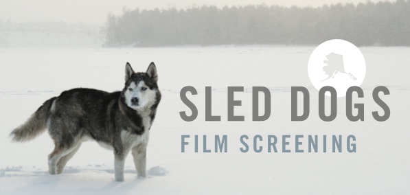 Sled Dogs Pic