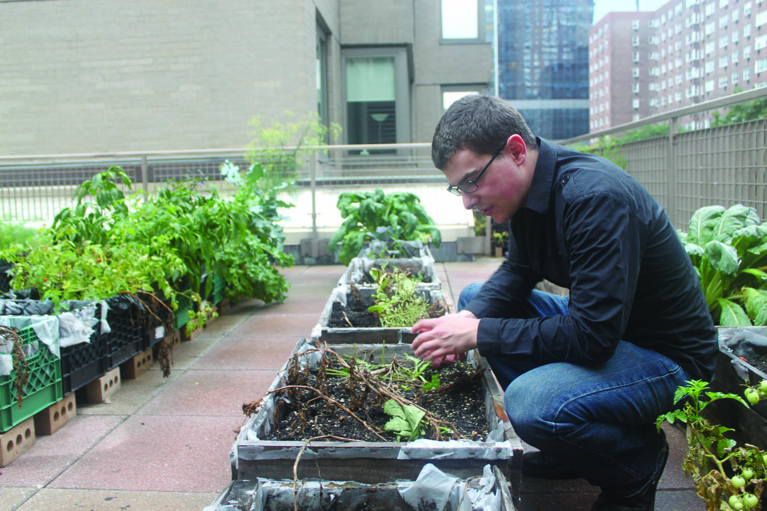 NEWS- Farm to Fordham