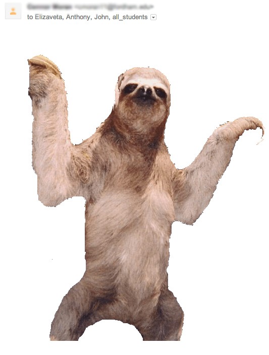 The Sloth