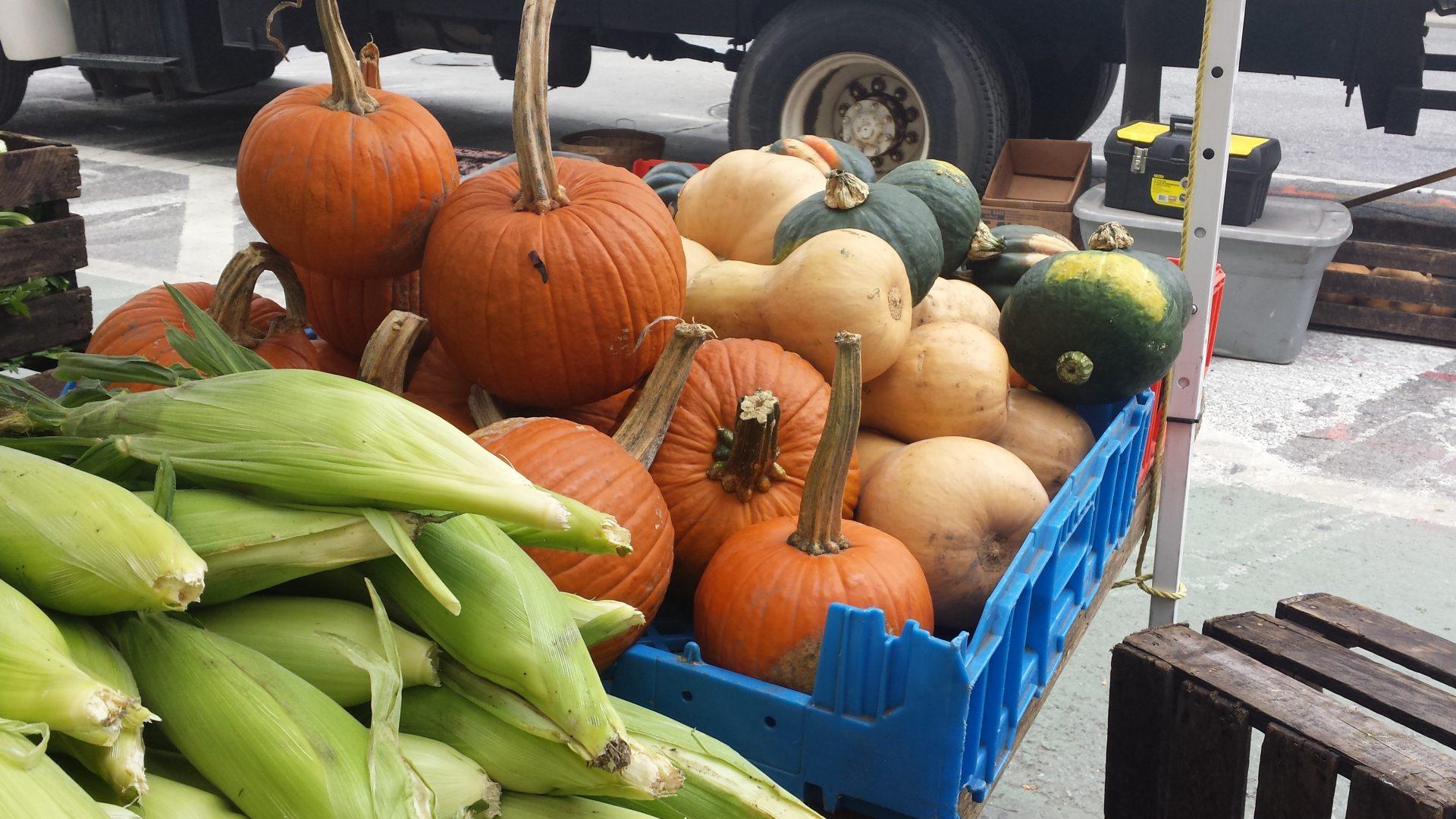 Pumpkins, squashes, and corns are some of fall’s familiar sights. (Mimi Ahn/The Observer)